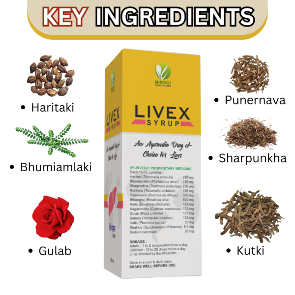 Livex Syrup